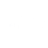 Punjab Insurance logo