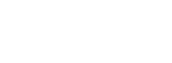 Life 100 Insurance & Investments, Inc. logo  